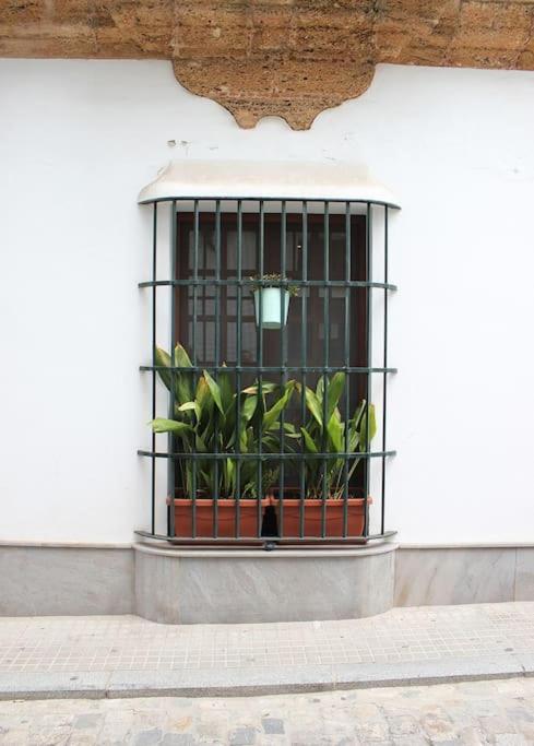 Fancy Apartment In A Historic House, Chiclana City Center By C. Dreams Chiclana de la Frontera Luaran gambar