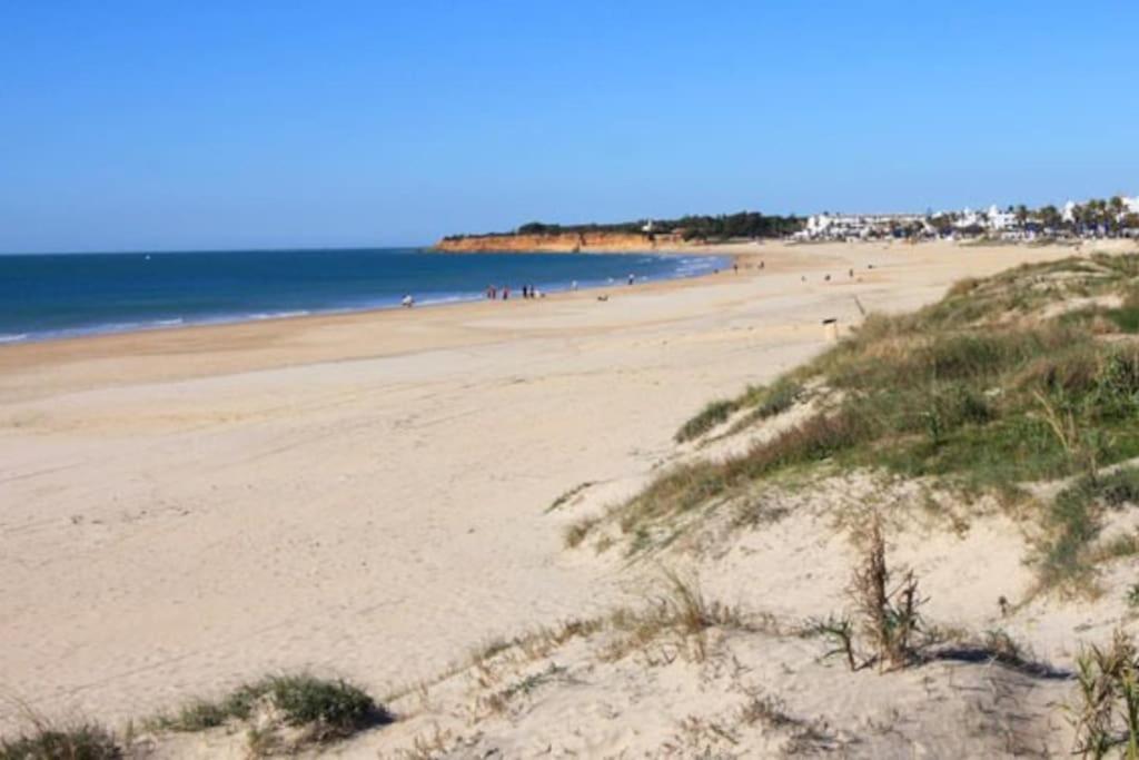 Fancy Apartment In A Historic House, Chiclana City Center By C. Dreams Chiclana de la Frontera Luaran gambar